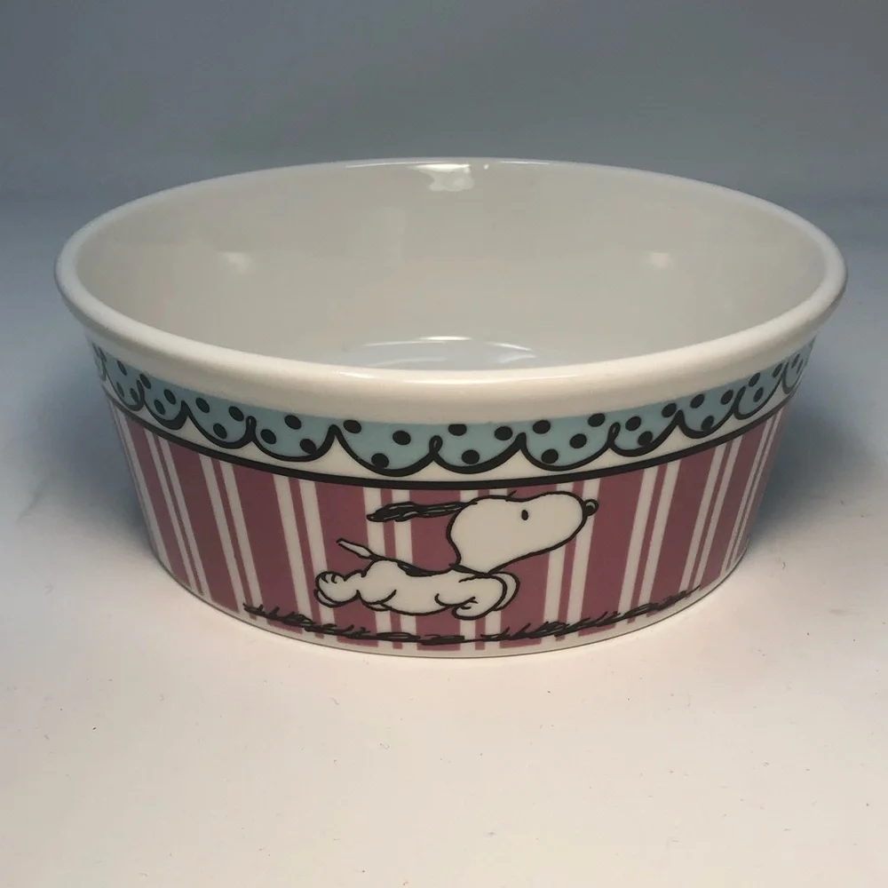 Snoopy Ceramic Bowl with Pink Stripes beautiful colors